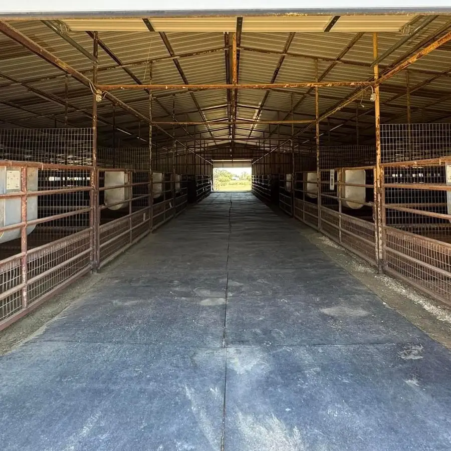 10145 Friendship Road, Pilot Point, TX 76258 - #3