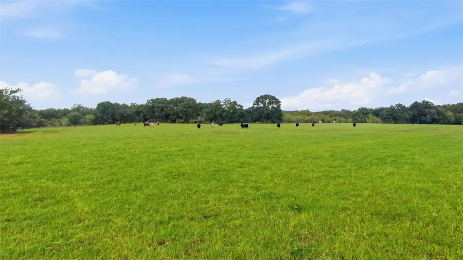 TBD County Road 182, Comanche, TX 76442 - #3