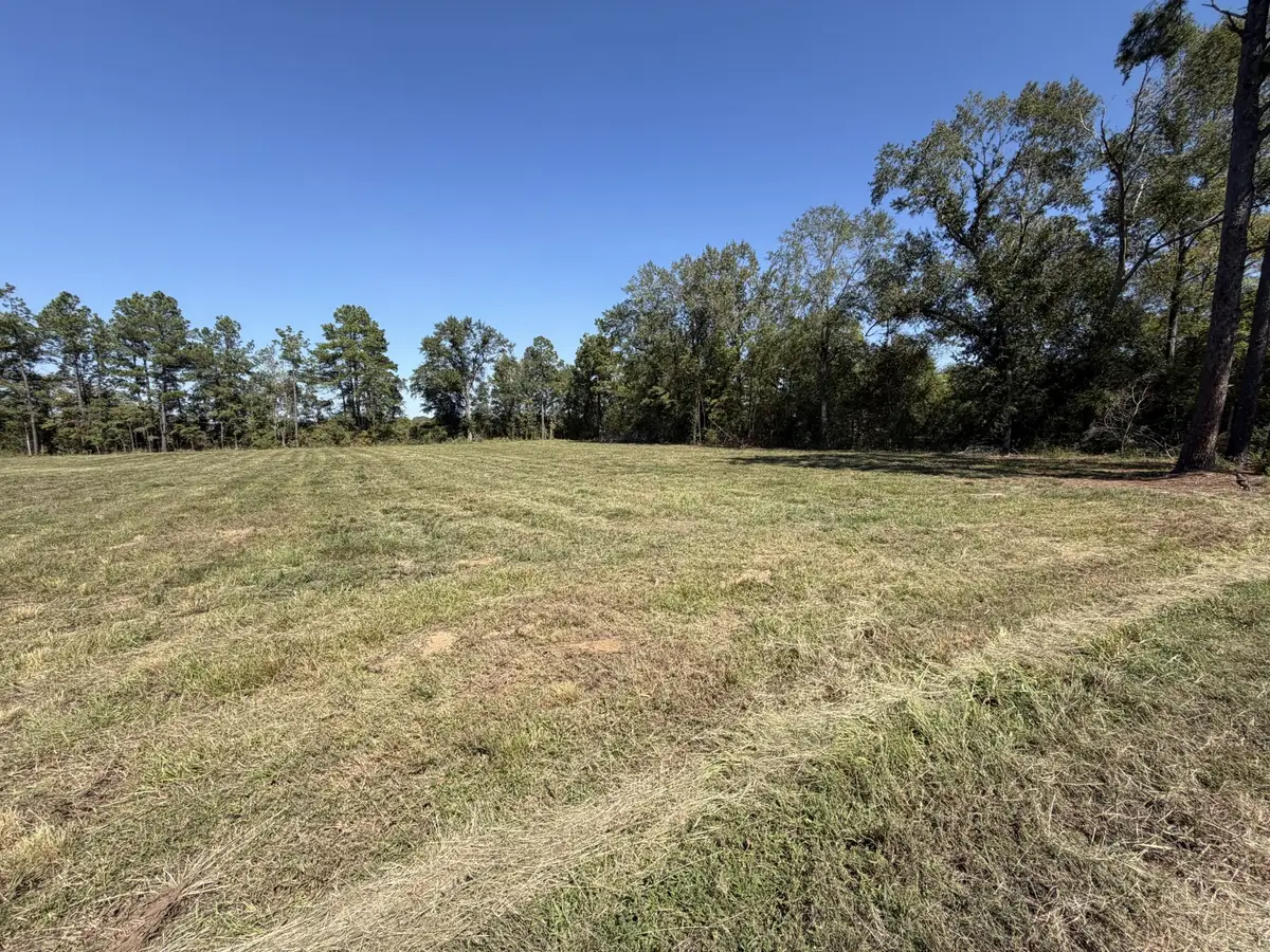 0 Ranchland Drive, Grand Cane, LA 71032 - #1