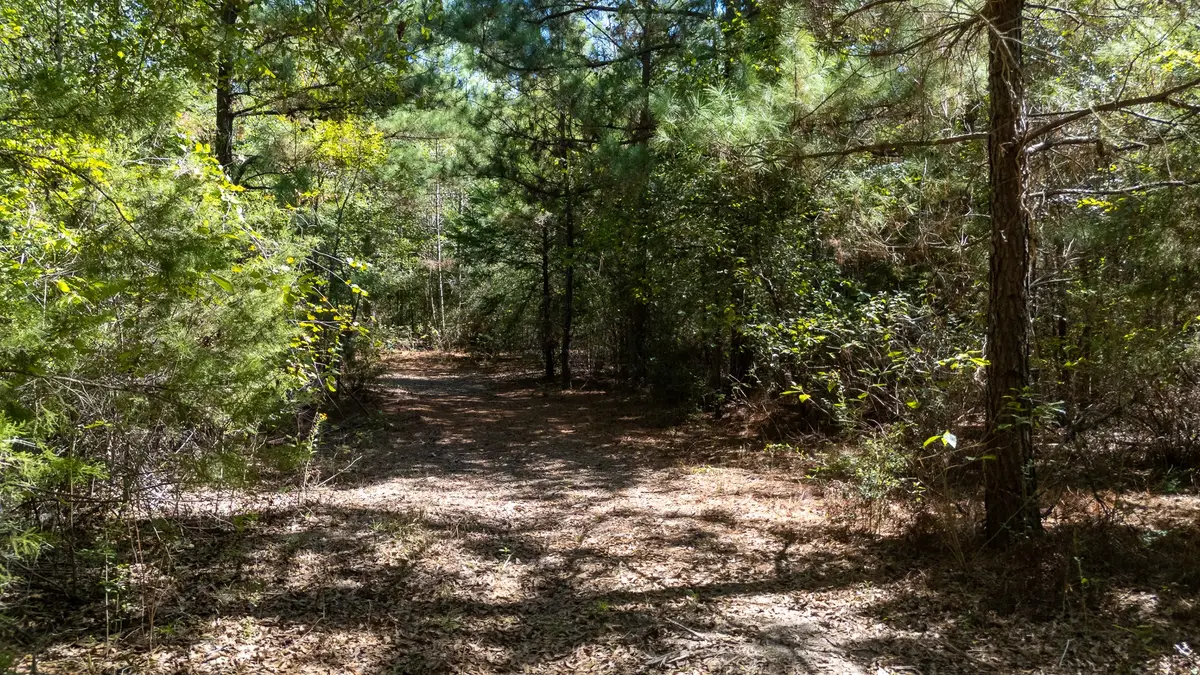 TBD Peach #1, Gilmer, TX 75755 - #1