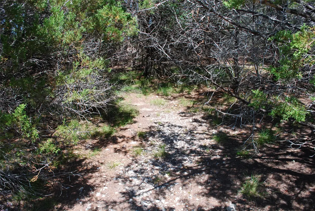 11030 Juniper Drive, Whitney, TX 76692 - #1