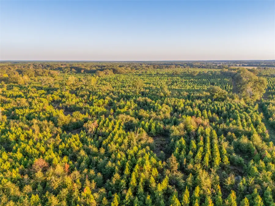TBD S County Road 2242 #Tract 2, Bagwell, TX 75412 - #2