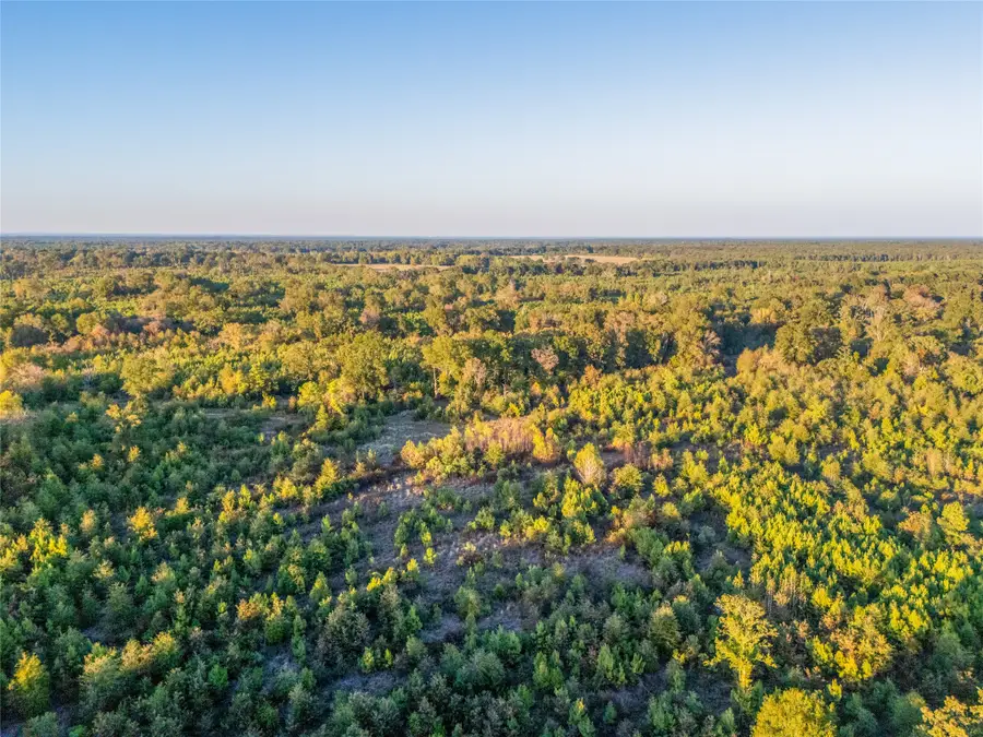 TBD S County Road 2242 #Tract 3, Bagwell, TX 75412 - #2