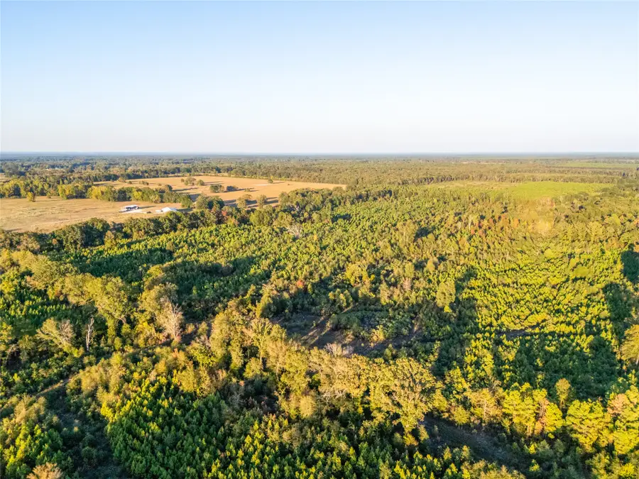 TBD S County Road 2242 #Tract 4, Bagwell, TX 75412 - #2