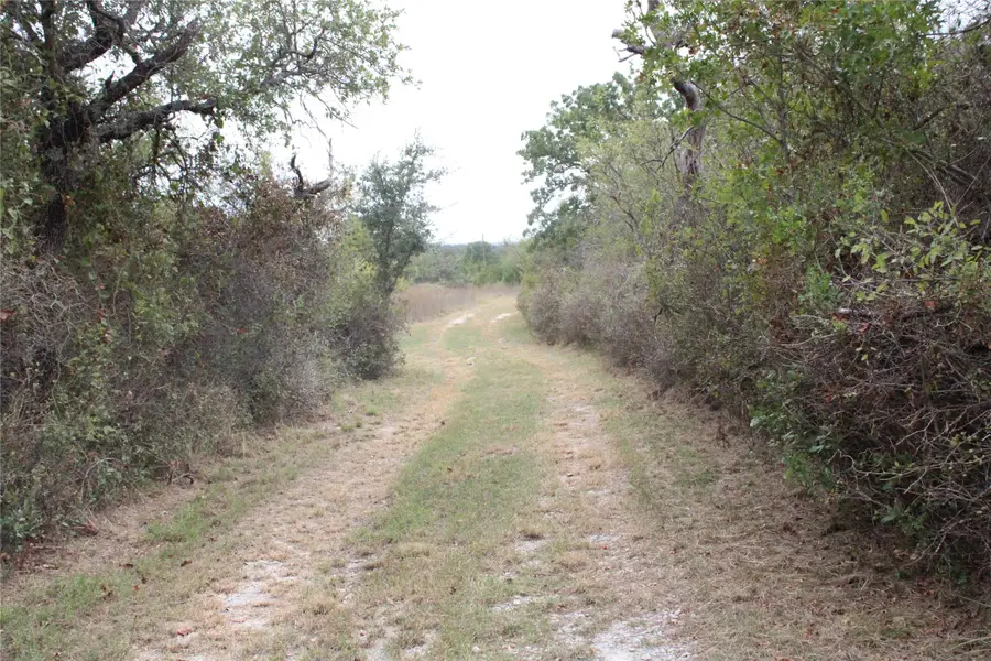 13125 Hwy 183 N, May, TX 76857 - #2
