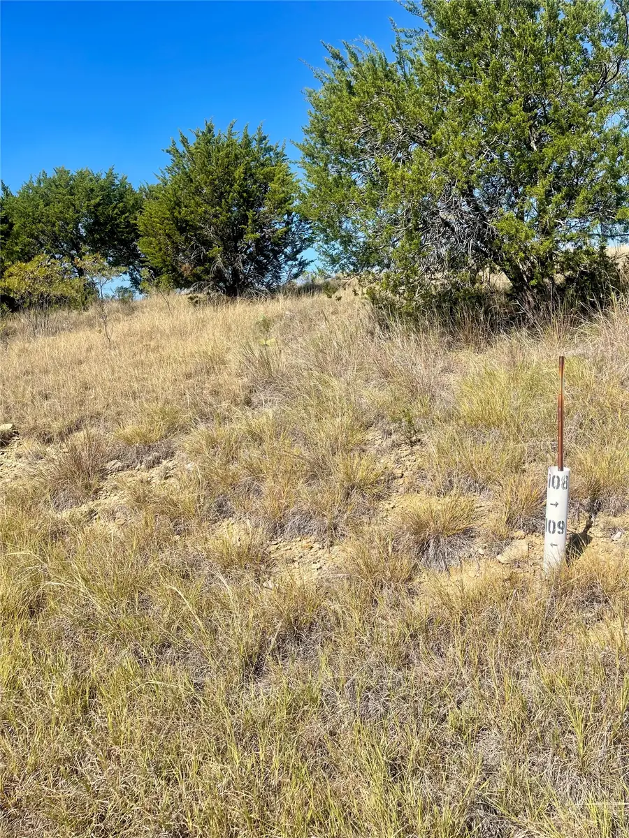 1030 Raven Circle, Possum Kingdom Lake, TX 76449 - #2