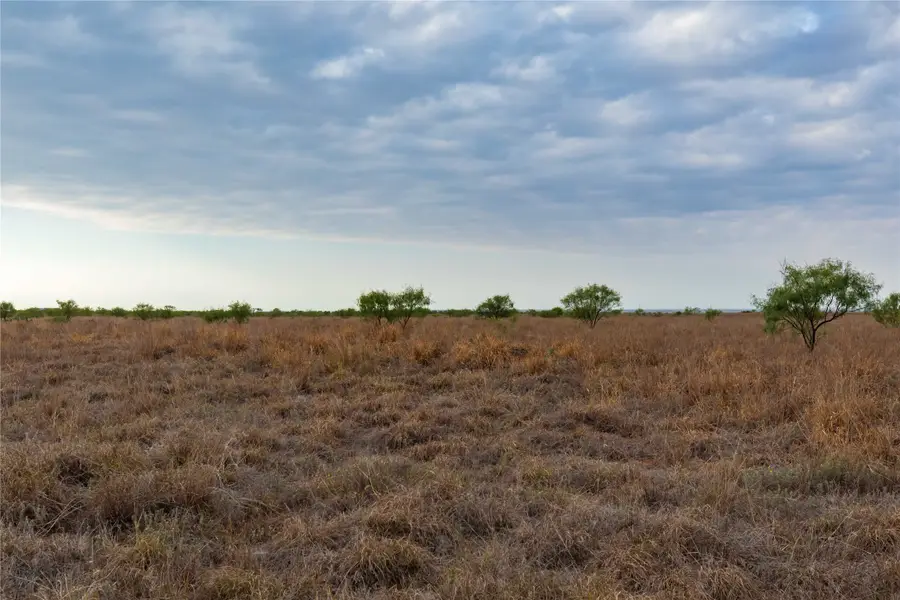 TBD Fm 2834, Hamlin, TX 79520 - #2