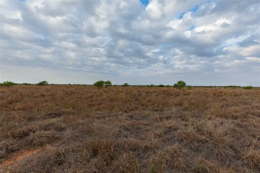 TBD Fm 2834, Hamlin, TX 79520 - #3