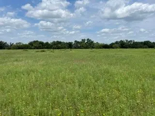 2040 Canyon Ranch Road, Palo Pinto, TX 76484 - #2