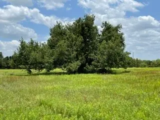 2040 Canyon Ranch Road, Palo Pinto, TX 76484 - #3