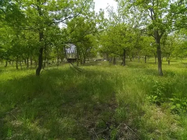 1209 County Road 416, Comanche, TX 76442