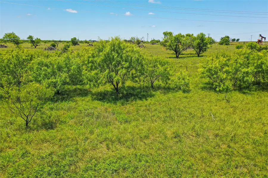 55.06 Acres 281 Highway, Jacksboro, TX 76458 - #2