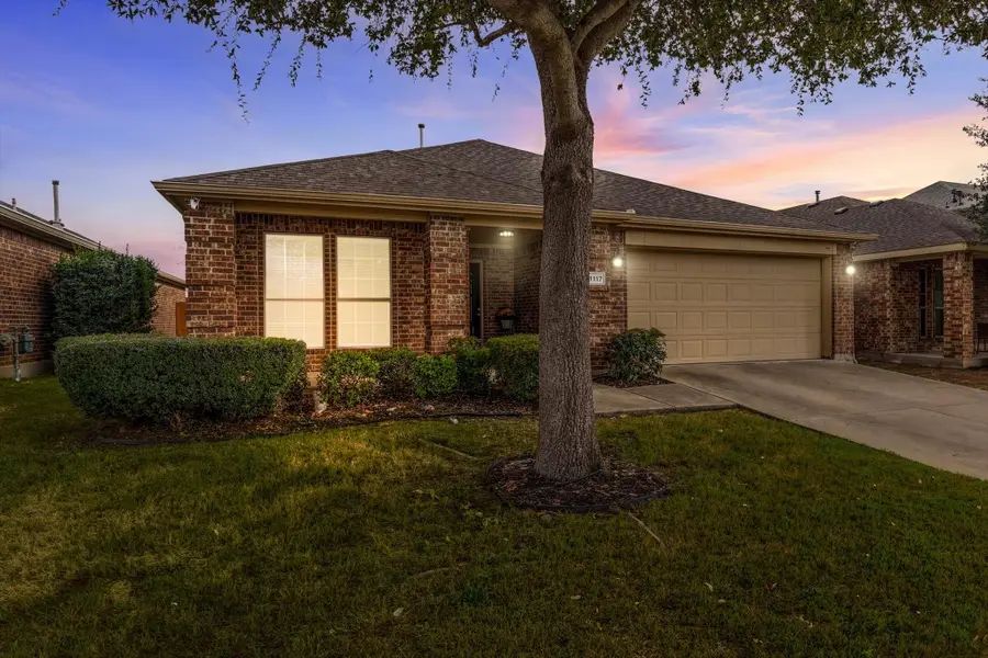 1117 Lake Hollow Drive, Little Elm, TX 75068 - #2