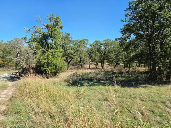 1633 Three Skillet Road, Springtown, TX 76082