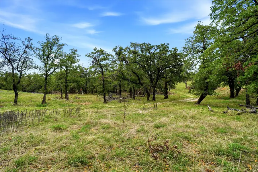 1633 Three Skillet Road, Springtown, TX 76082 - #3