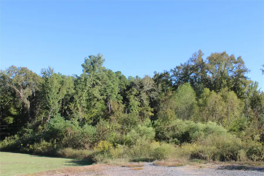 0 Foxtrot, Mansfield, LA 71052 - #2