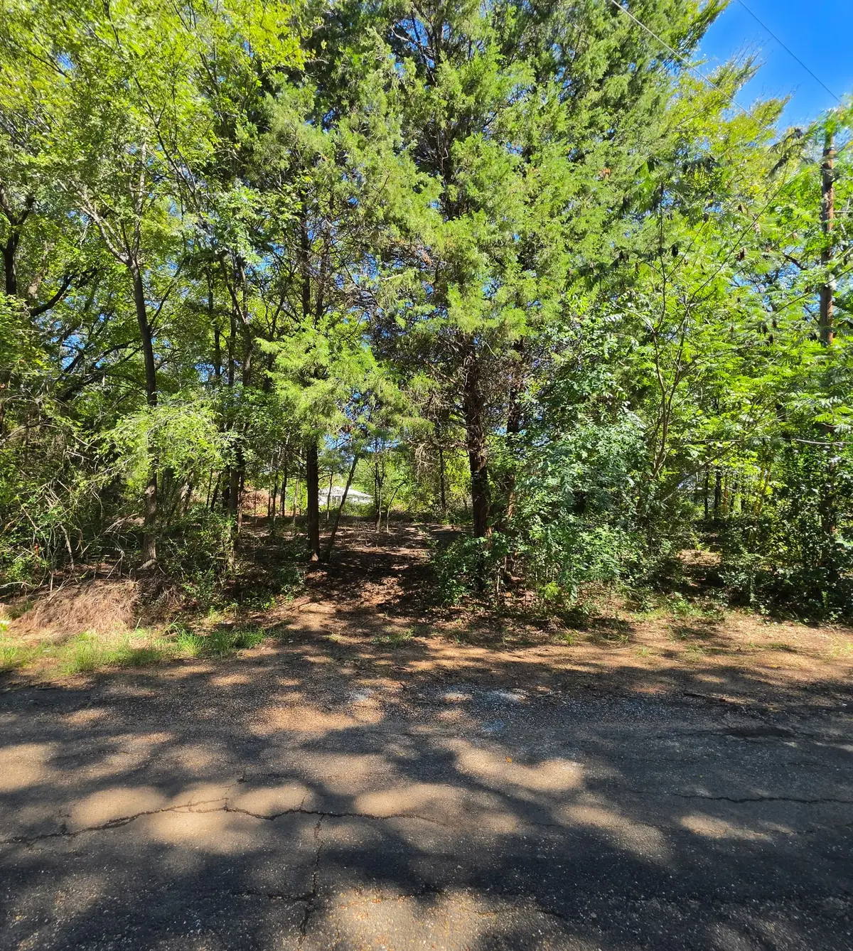 120 High Point Drive, Mabank, TX 75156 - #1