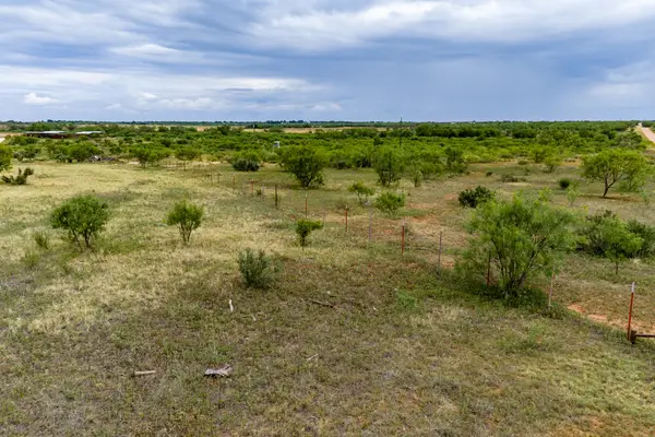 TRACT 5 TBD Cr 481, Anson, TX 79501
