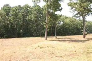 Lot 6 Peaceful Pines, Vivian, LA 71082 - #3