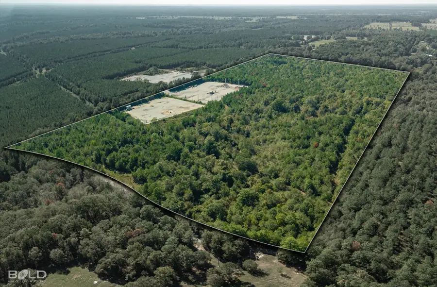 0 Windy Pines, Keatchie, LA 71046 - #2