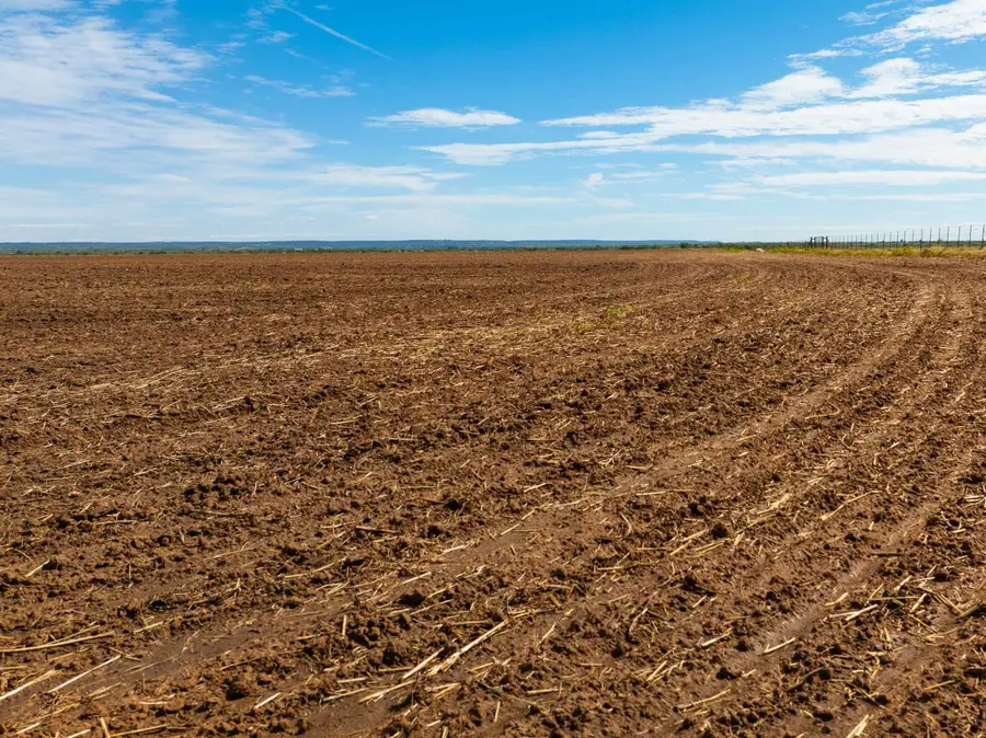 TBD Cr 161, Ovalo, TX 79541 - #2