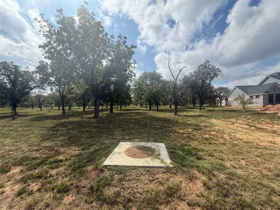 2449 Marvin Drive, Granbury, TX 76049 - #3