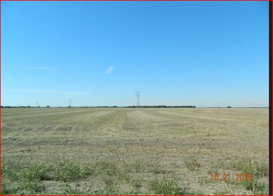 000 Moseley Road, Ennis, TX 75119 - #2