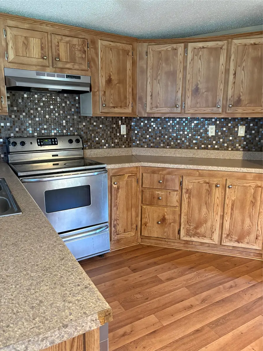203 S Mountain Ridge, Cresson, TX 76035 - #3