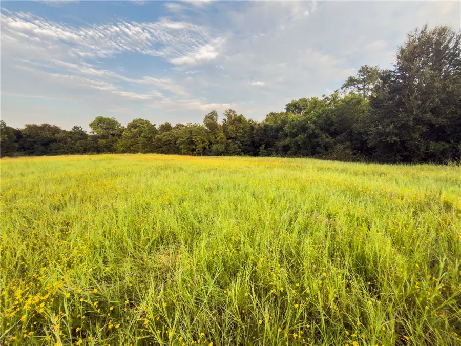 Lot 11 Wilson Road, Waco, TX 76705 - #3