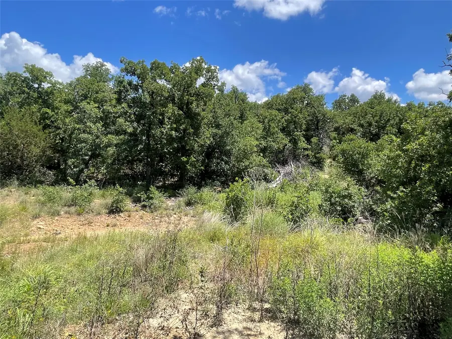 000 Lower Tonk Valley Road, Graham, TX 76450 - #3