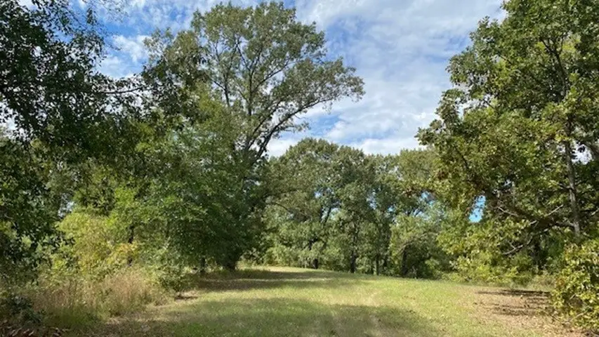 TR 9A1 & 9C Fm 2709, Eustace, TX 75124 - #3