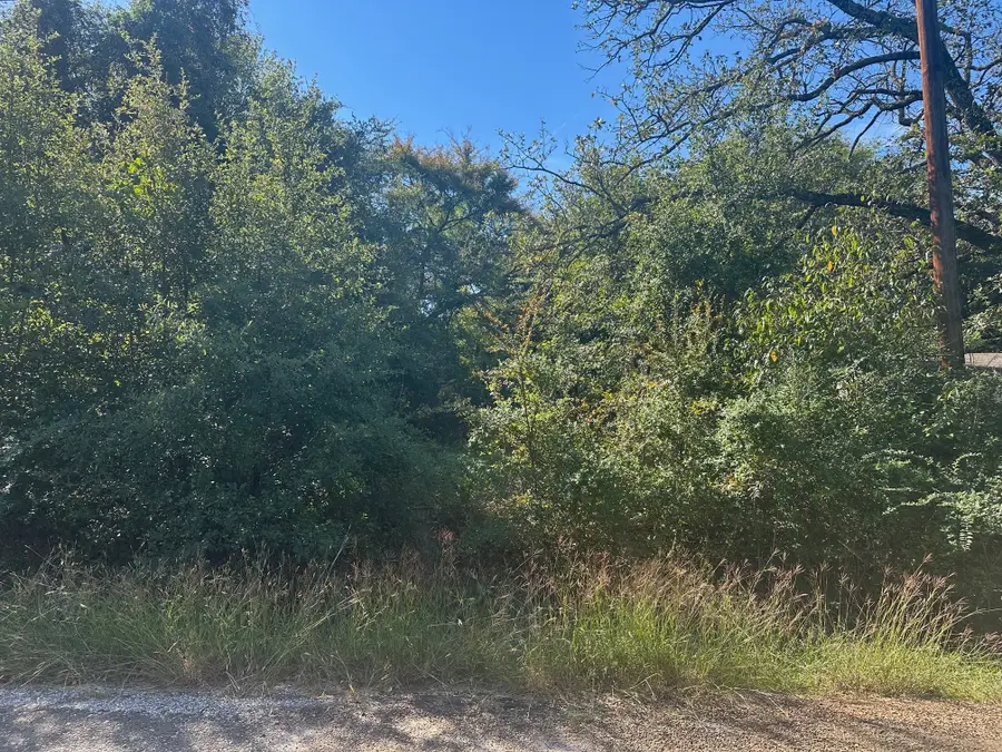 114 Beautiful Hills Drive, Mabank, TX 75156 - #2