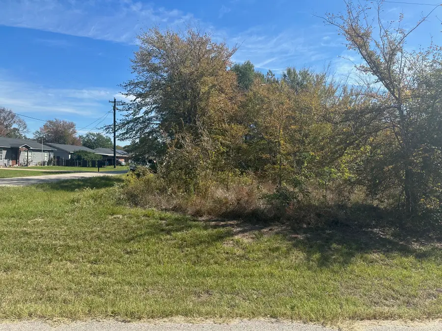 1627 Luzon Street, Tool, TX 75143 - #2