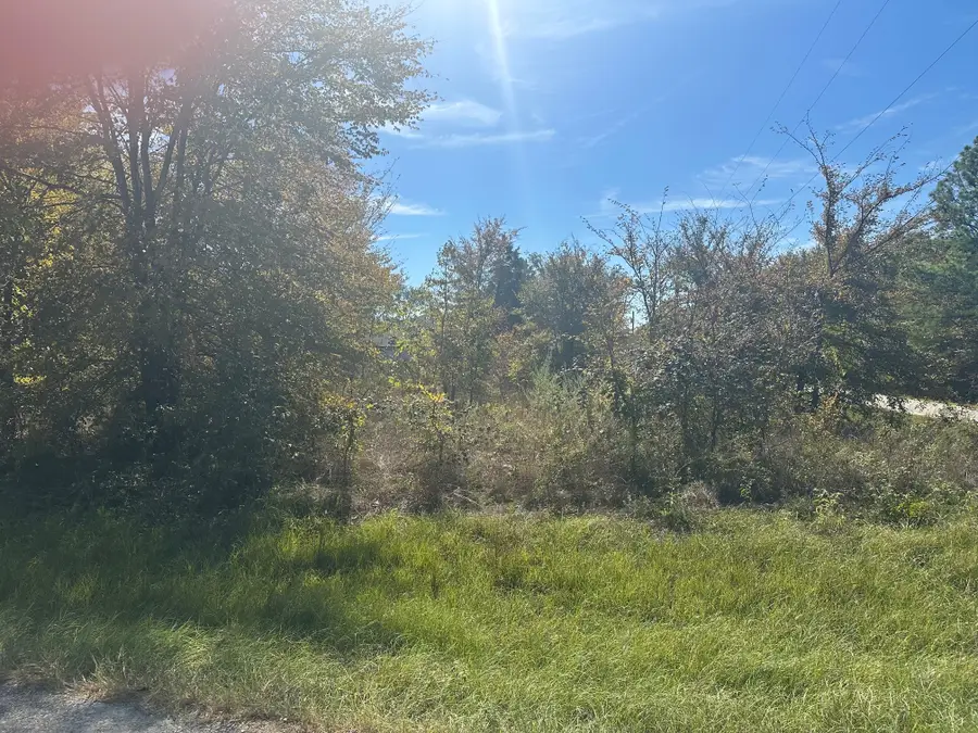1627 Luzon Street, Tool, TX 75143 - #3