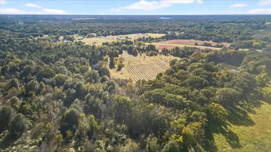1603 Vz County Road 2908, Eustace, TX 75124 - #2