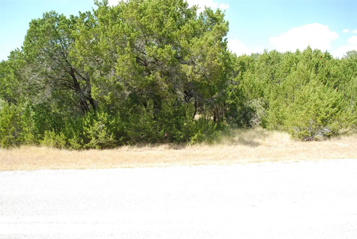 43009 Whisperwood Drive, Whitney, TX 76692 - #1