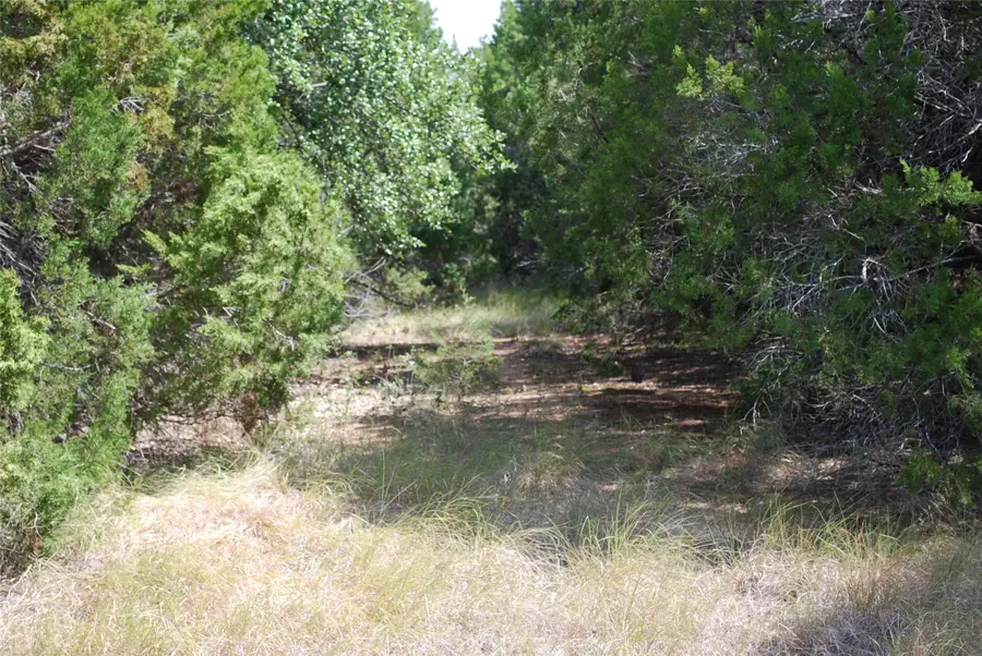 25063 Woodmont Drive, Whitney, TX 76692 - #2