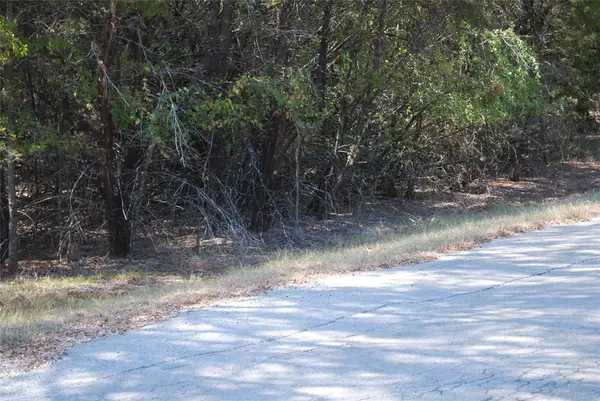 17157 Woodway Drive, Whitney, TX 76692