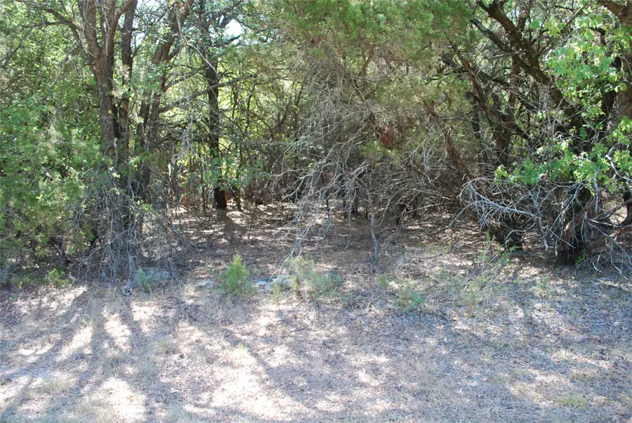 17157 Woodway Drive, Whitney, TX 76692 - #3