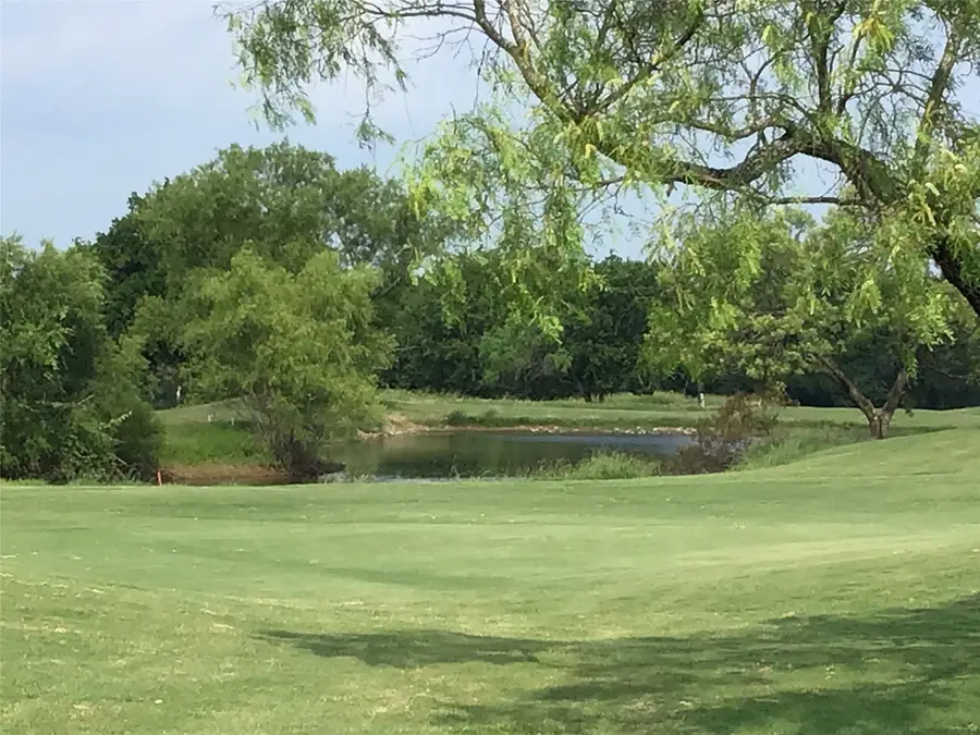 4 Lots White Bluff Resort, Whitney, TX 76692 - #3
