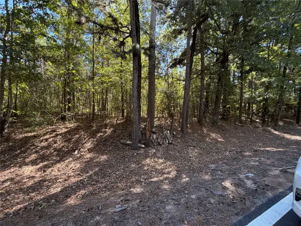 0 Old Plain Dealing Road, Benton, LA 71006