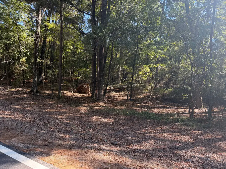 0 Old Plain Dealing Road, Benton, LA 71006 - #2