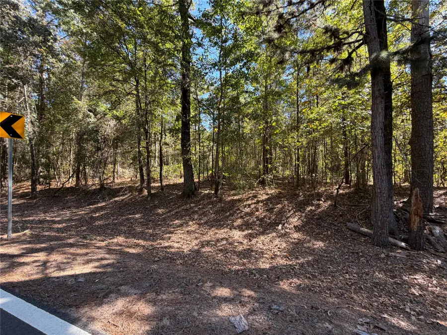 0 Old Plain Dealing Road, Benton, LA 71006 - #3