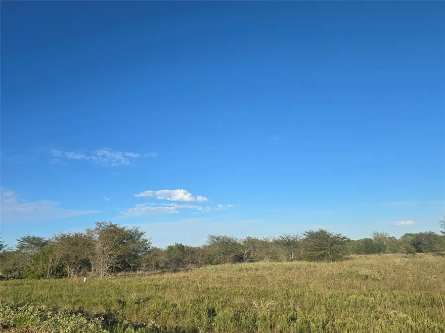 1717 Channing Lane, Wills Point, TX 75169 - #3