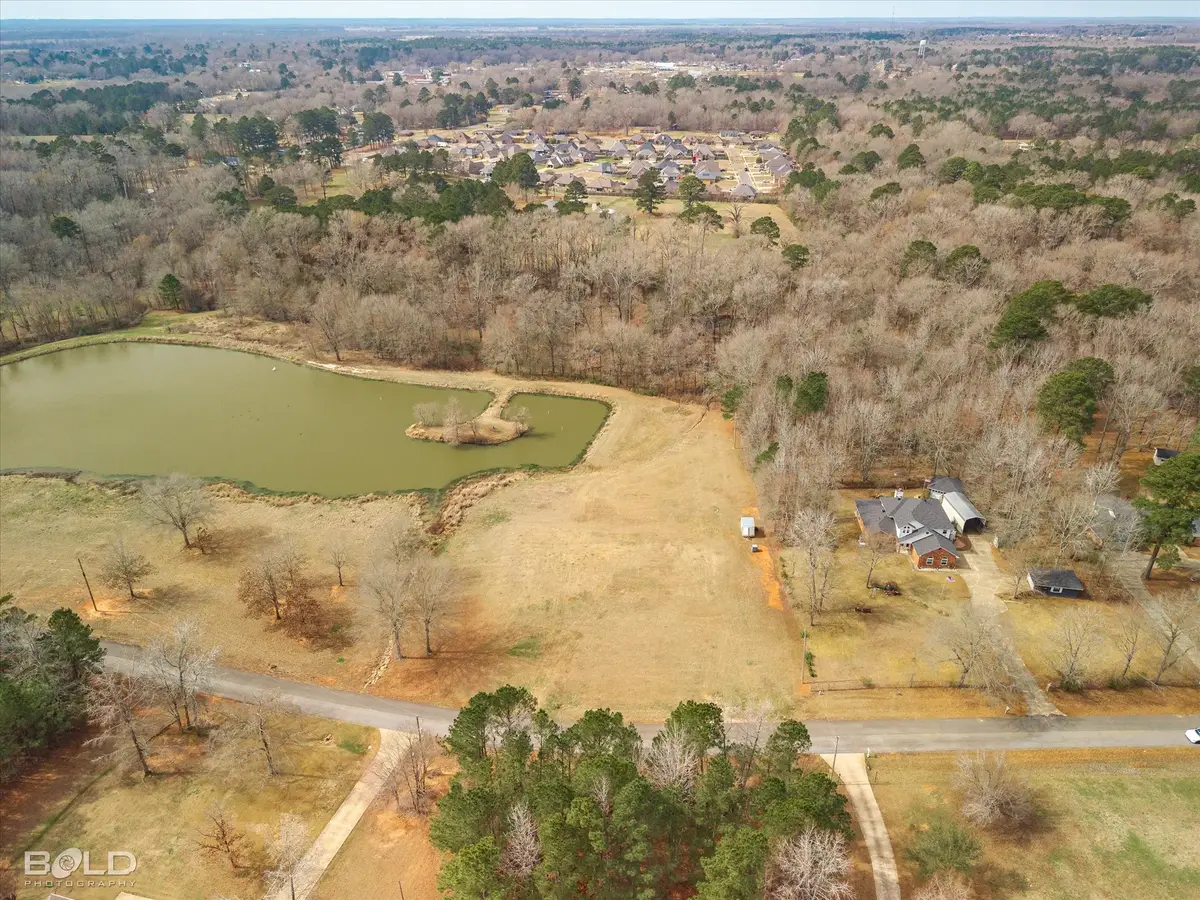 147 Silver Leaf Drive, Benton, LA 71006 - #1
