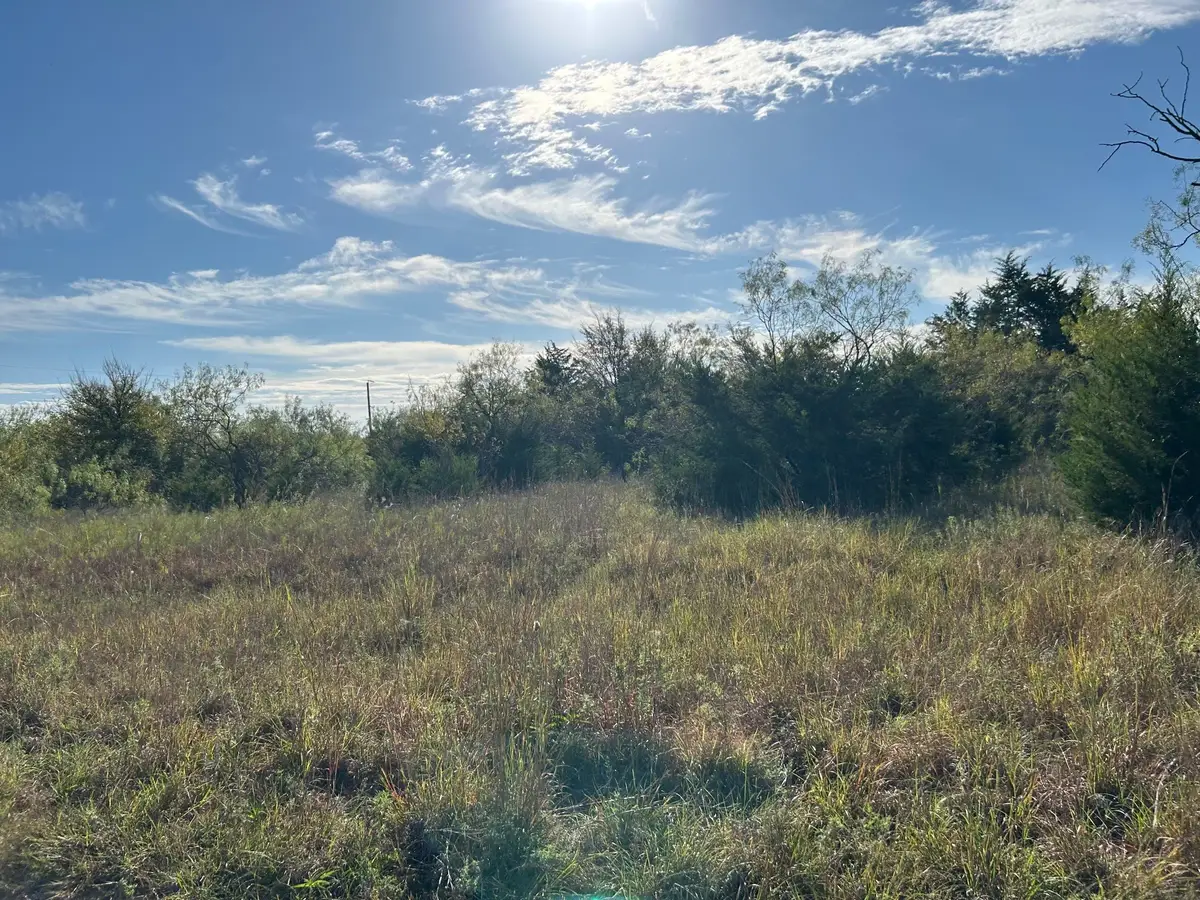 Lot 10 Cedar Prairie, Mildred, TX 75109 - #1