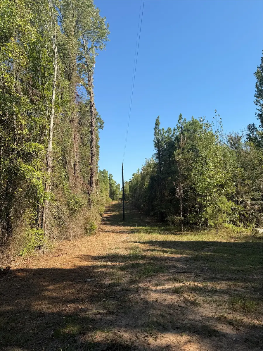 000 County Road 3230, Clarksville, TX 75426 - #3