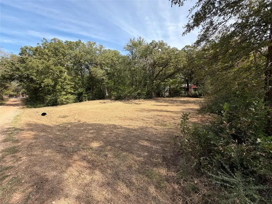 Lot 192 & 193 Ivanhoe Drive, Gordonville, TX 76245 - #3