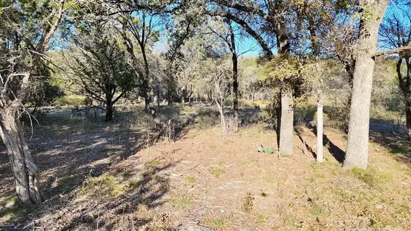 Lot 187 Wooded Acres Drive, Mineral Wells, TX 76067