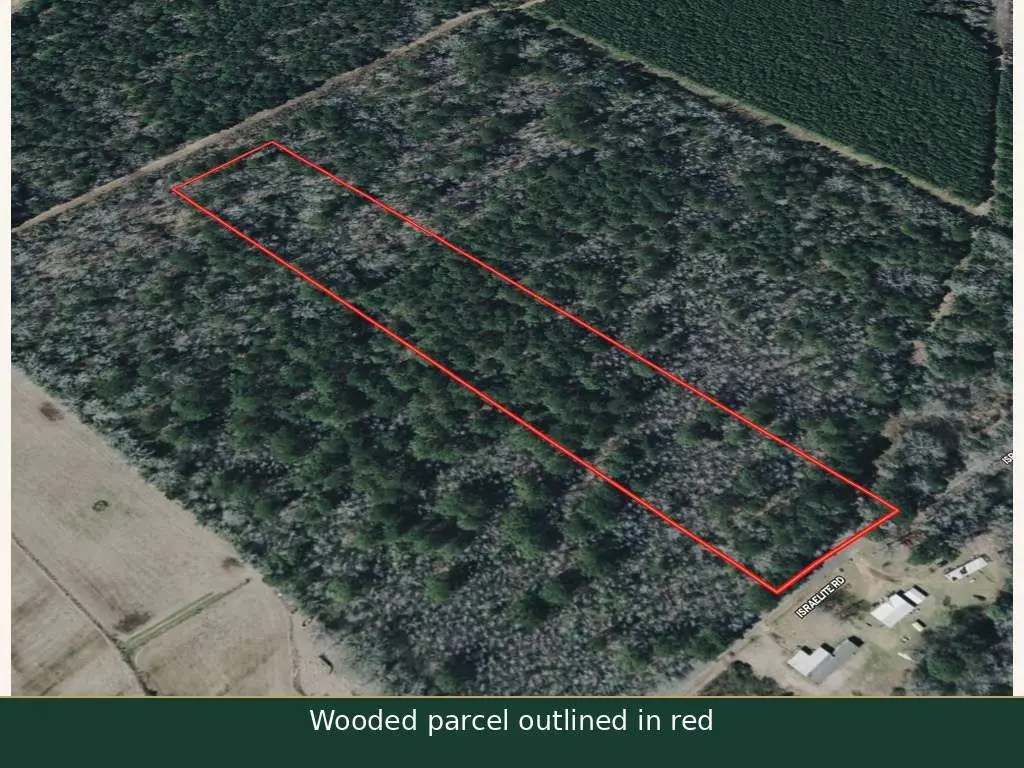 0 Israelite Road, Ringgold, LA 71068 - #1